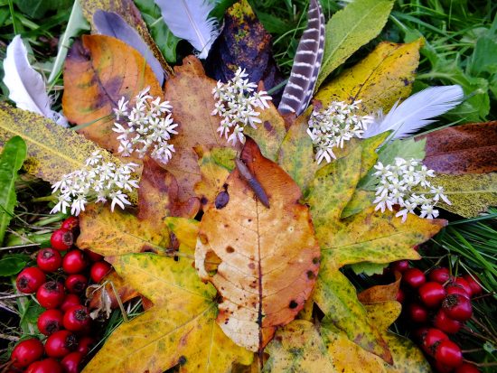 Autumn Leaf Art Plus Slug