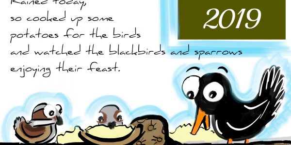 Blackbirds Eating Baked Potato