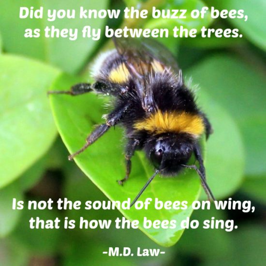 The Buzz Of Bees Poem