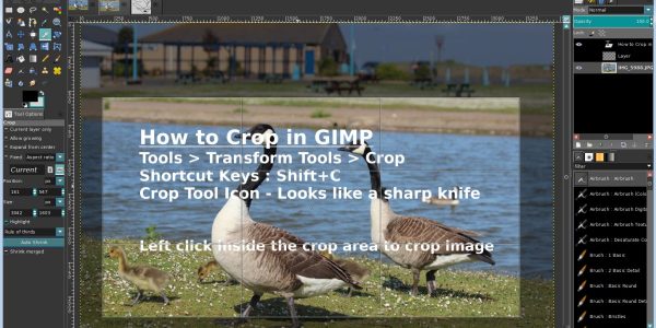How to Crop in GIMP