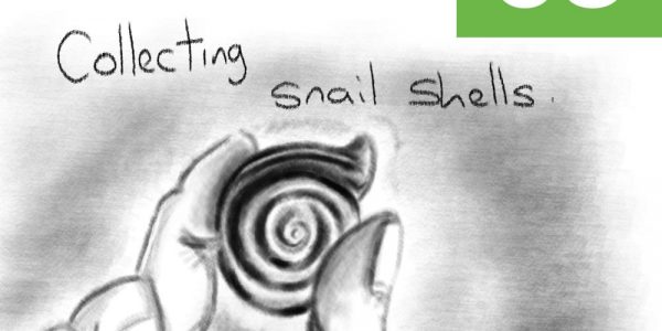Snail Shells Illustration