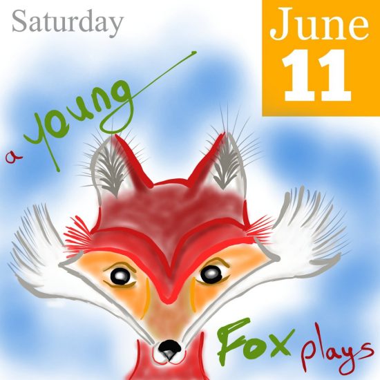Young Fox Illustration